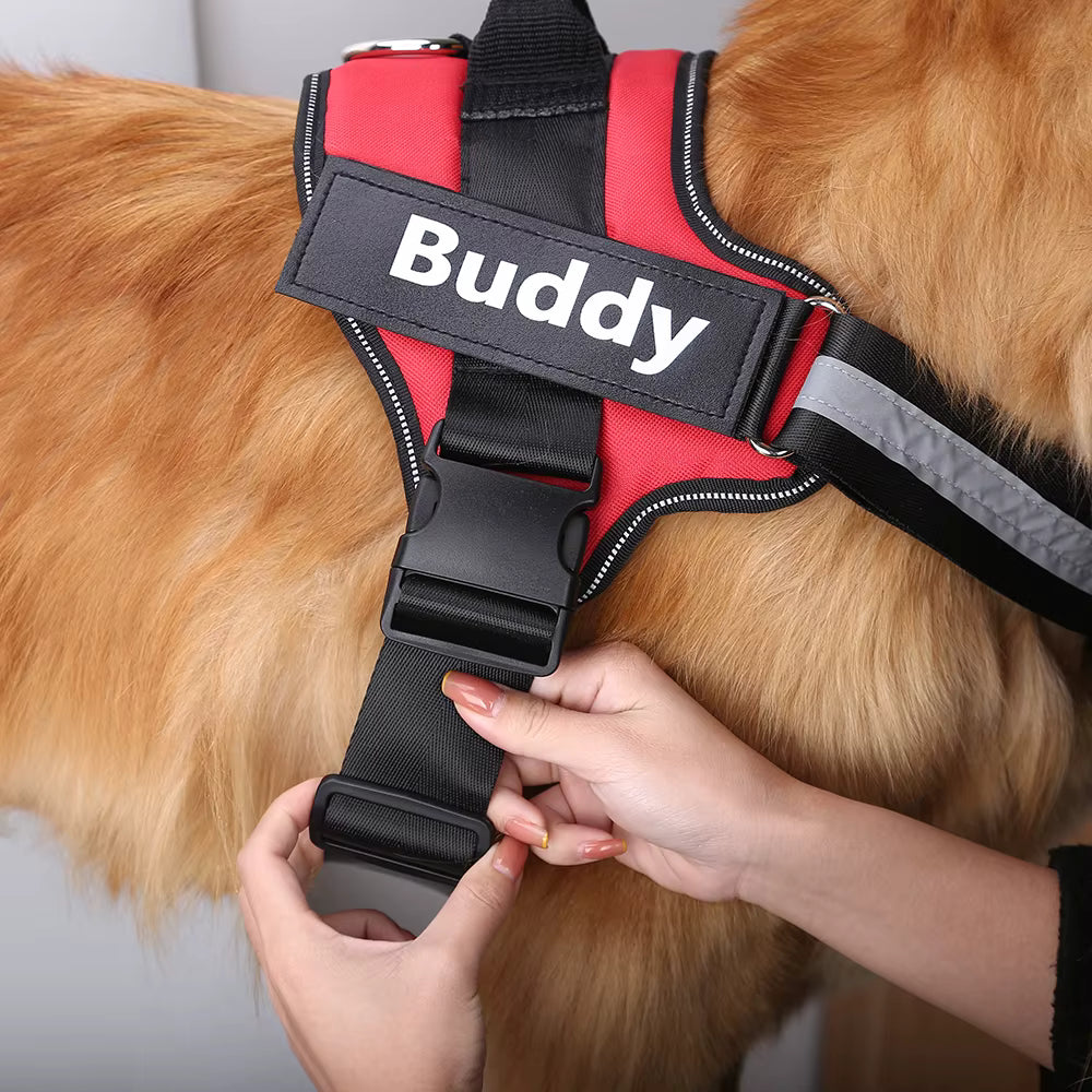 Arnés Pluffy Personalizado